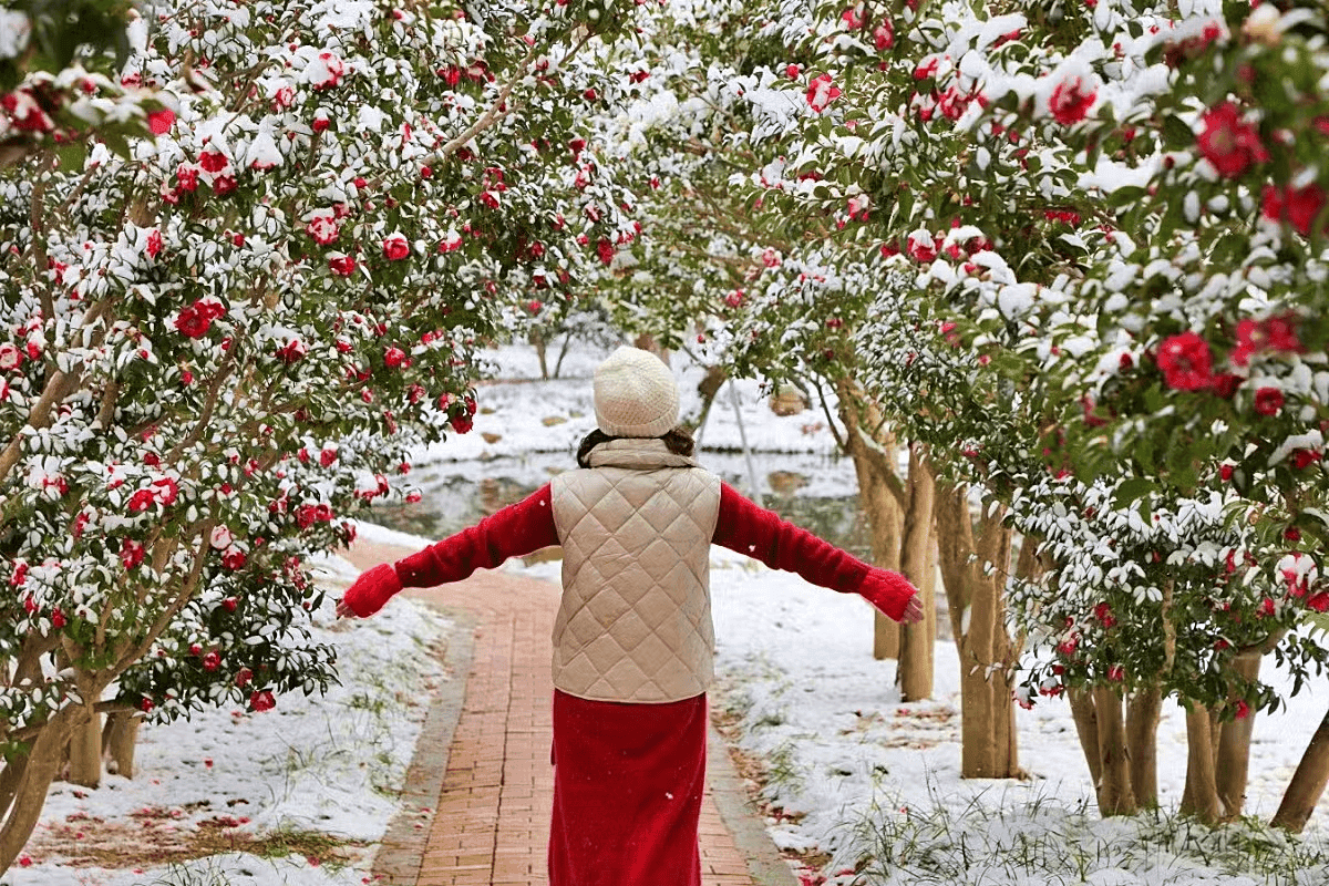 문체부가 선정한 찾아가고 싶은 겨울섬 1004섬 분재정원