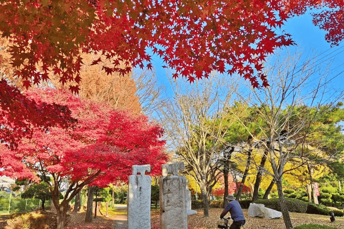 “12월에야 단풍 절정?”… 올해의 마지막 단풍 명소 추천