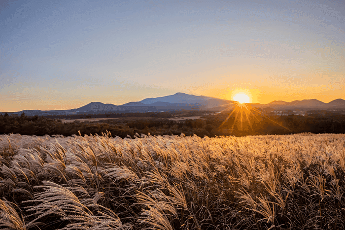 제주에서 오름과 함께 특별한 사계절을 만끽하세요