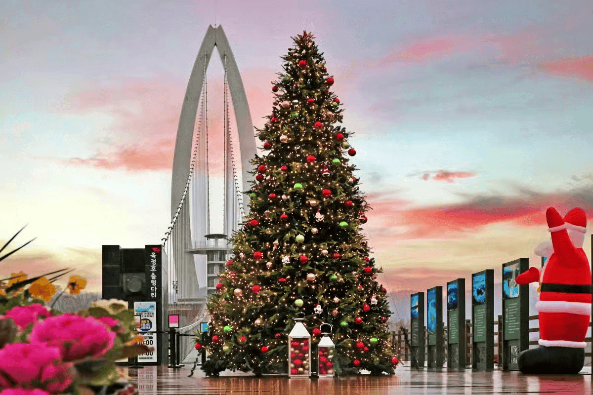 45만 명이 찾은 신비로운 붕어섬과 크리스마스 감성여행