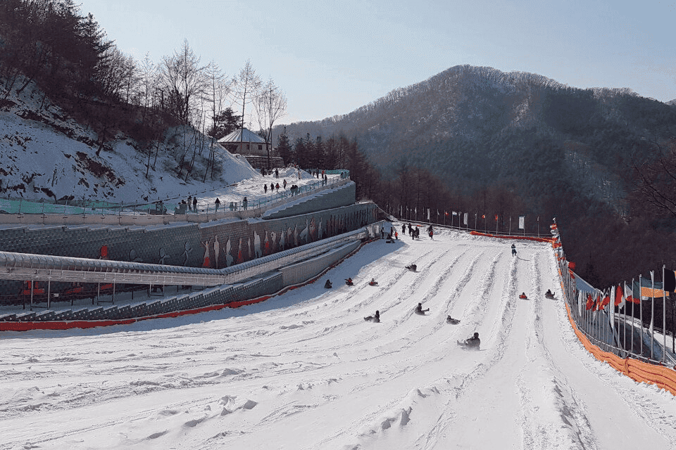 24/25 겨울시즌, 전국 눈썰매장 BEST 6