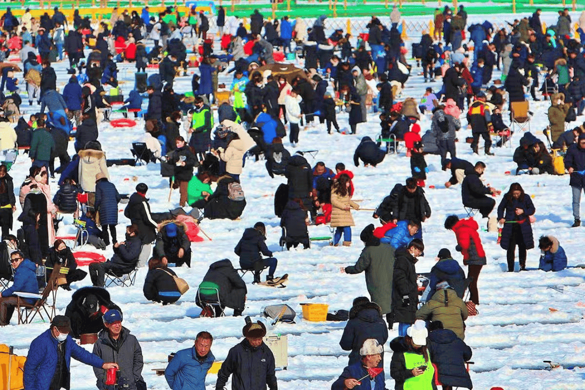 올해도 겨울 축제 취소.. 3번 연속 취소된 지역 어디?