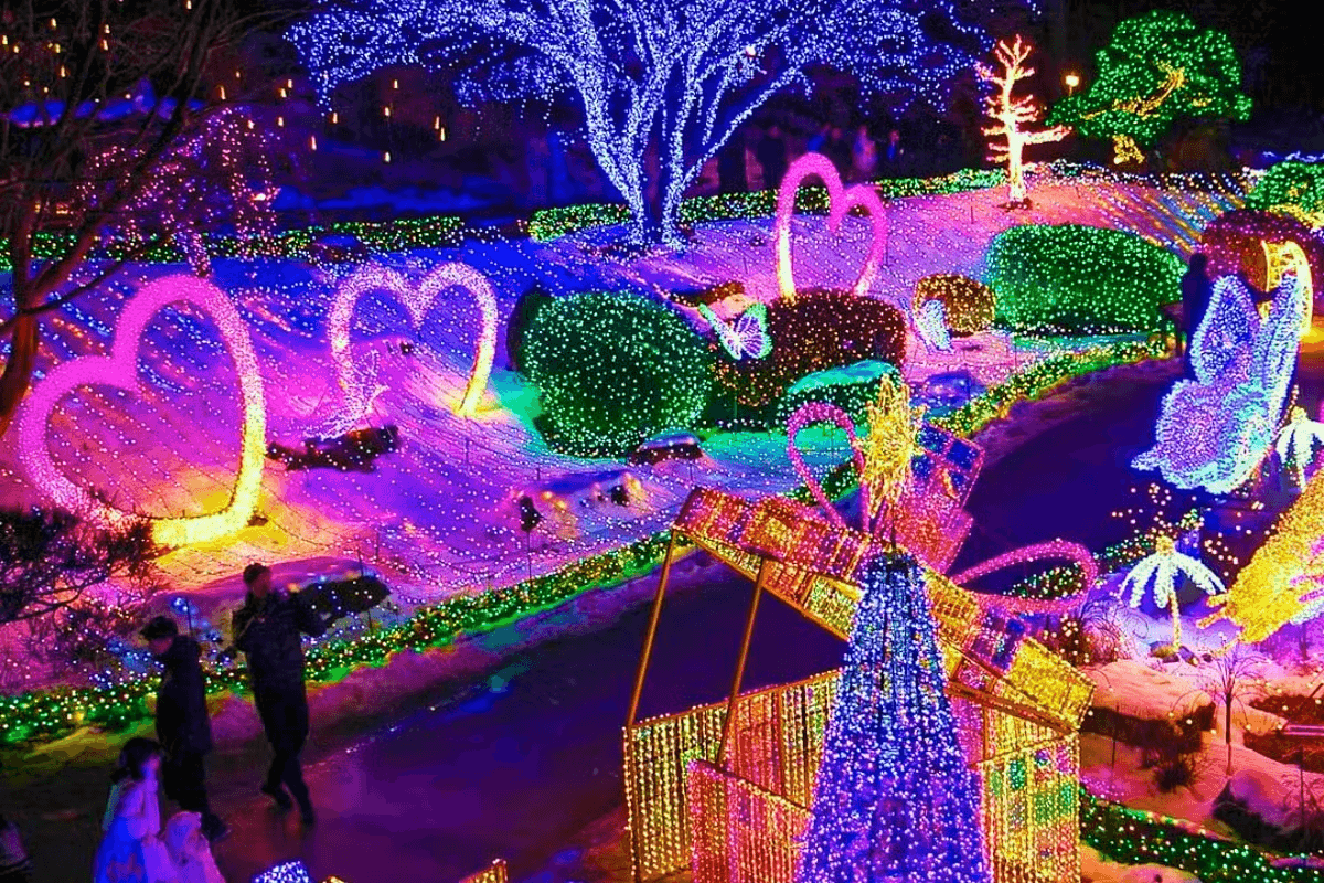 비교 불가한 환상적 야경 명소 “가평 아침고요수목원 오색별빛정원전”