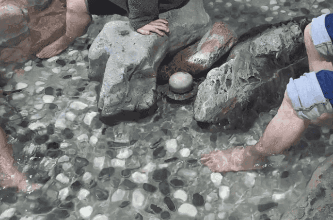 생생정보 대전 얼큰이칼국수 두부두루치기 식당 족욕체험장, 강민서 바리스타 카페, 철도관사, 생생트레인 강산해 아쿠아리움 위치