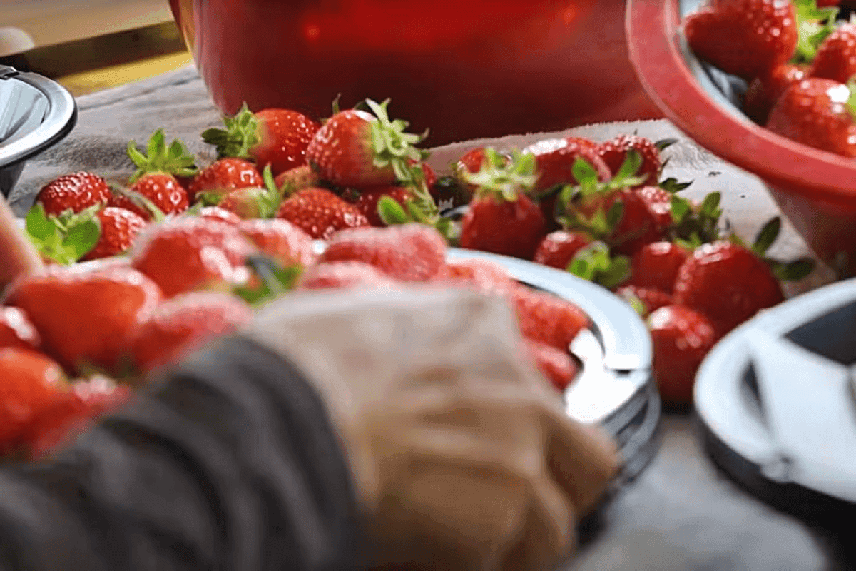 12월에만 만날 수 있는 특별한 하루, 밀양 딸기 축제 가족과 함께하는 겨울 여행