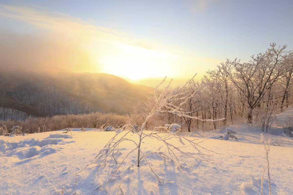 눈 내린 계절, 설경이 빚어낸 1월 2월 국내여행지베스트 10