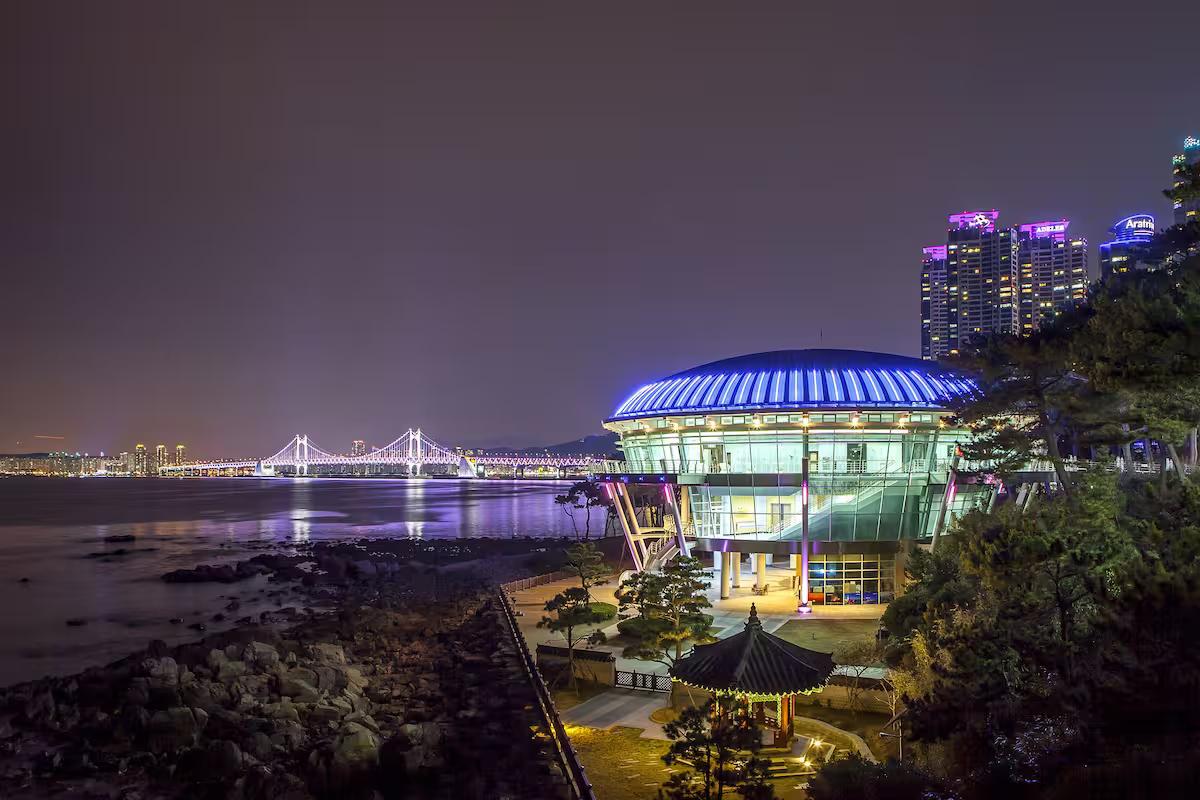 극한의 추위속에서 계절꽃 만개한 무료 여행지 2곳