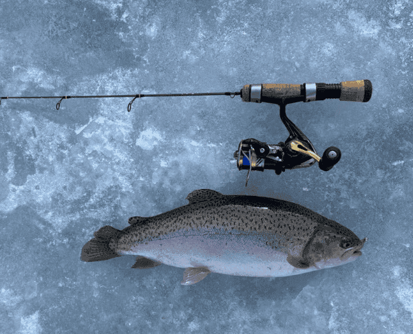 생생정보 택시맛객 평창 황태구이정식, 황태해장국 맛집, 송어축제, 양떼목장 위치