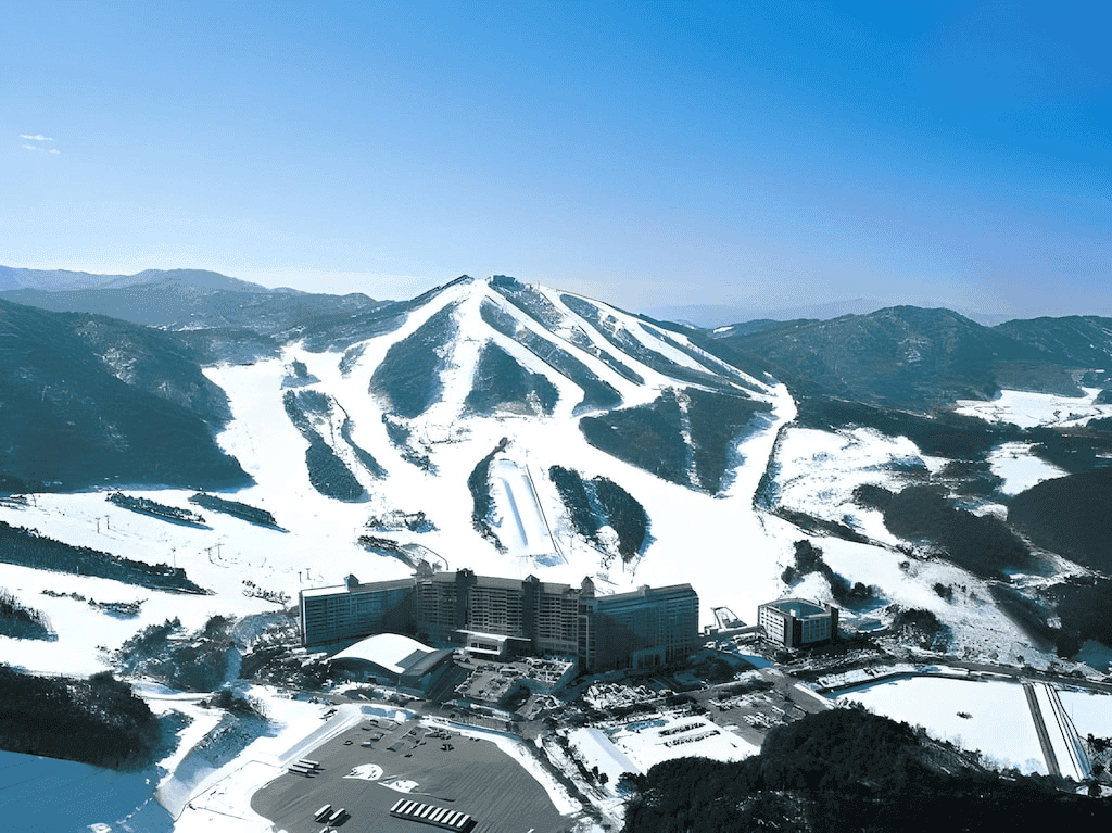 웰리힐리파크 스노우파크에서 4인 가족 스키 여행 즐기기