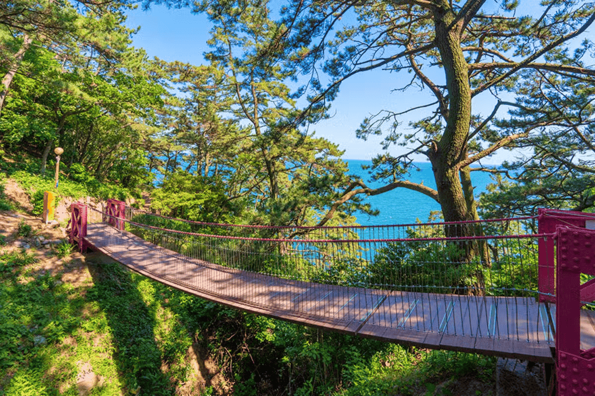 부산에서 무료로 즐기는 힐링 공원 여행: 소소해도 자꾸 생각나는 두 곳