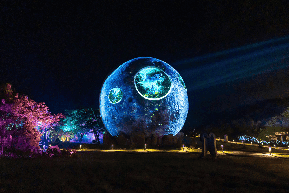 빛과 숲이 어우러진 밤의 마법, 제주 루나폴로 떠나다