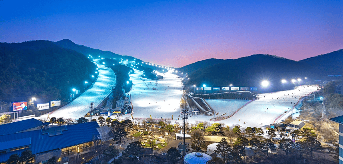겨울이 빚어낸 낭만, 1월에 꼭 가봐야 할 국내 명소 7곳