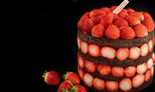 대전 성심당 케익부띠끄, 딸기시루막내로 달콤한 순간을 채웠다