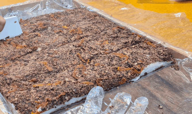 대가의 일급정보 33년 전통 떡 대가 생생정보 평택 떡집 위치