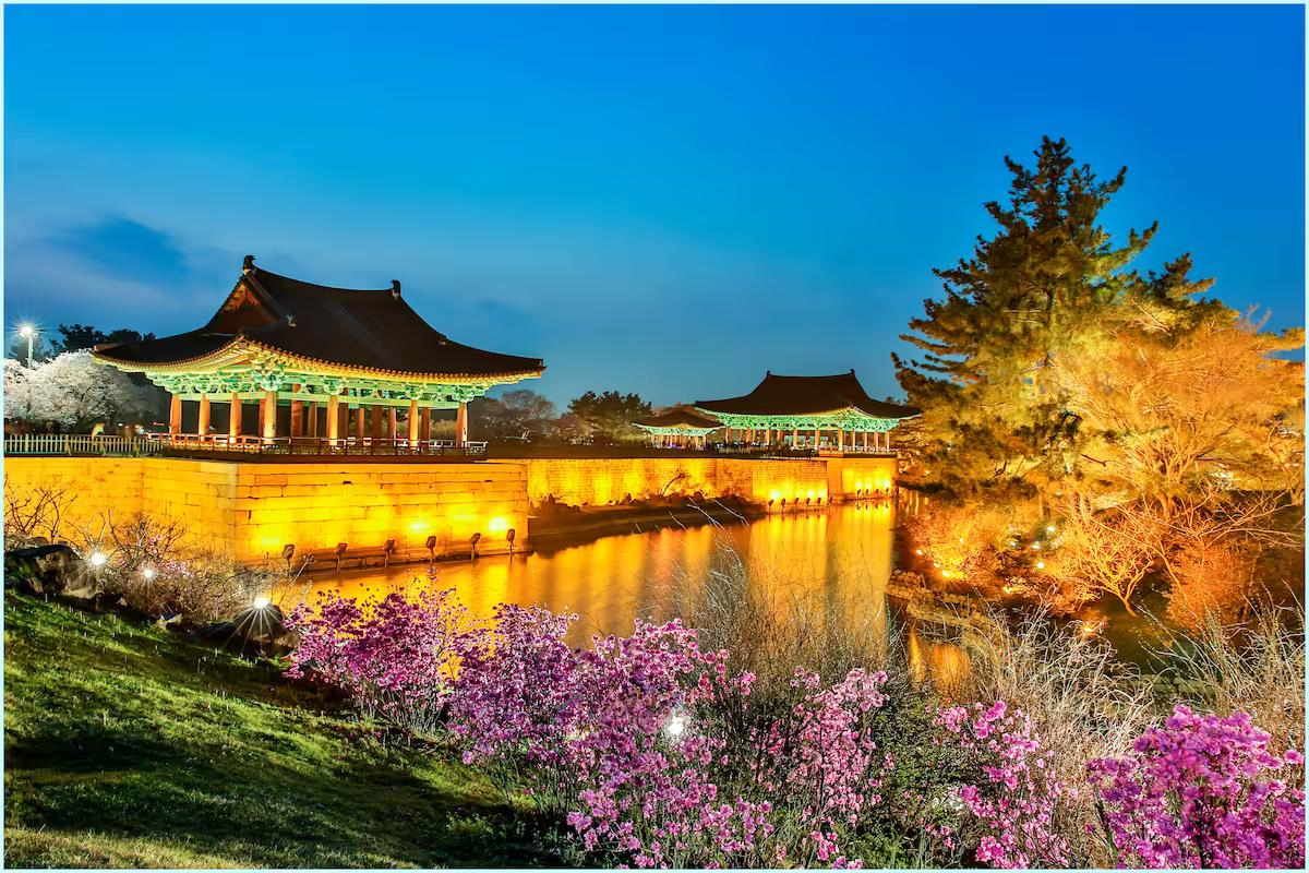 경주 근교 가볼만한곳 추천 – 신라의 달빛을 따라 걷는 경주 야간 여행기