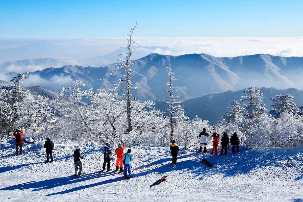 전북 무주 덕유산 상제루 화재, ‘잿더미’로 사라진 겨울 명소