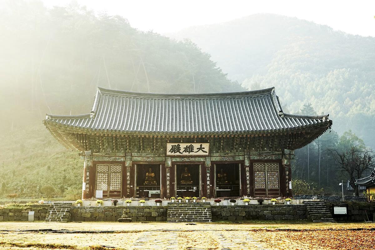 경남 하동 쌍계사, 이런 곳이 있었다니? 당장 떠나야 할 TOP 5 이유!