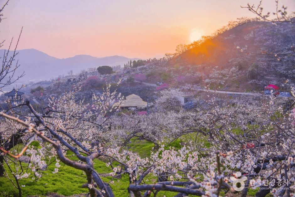 3월 국내 여행지 추천 BEST 5곳, 봄에 국내 여행 떠날까?