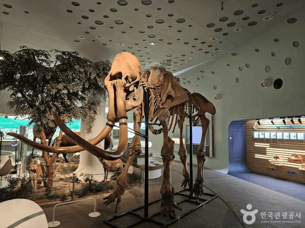 이런 곳이 있었다니! 아이들이 더 좋아하는 국내 체험형 박물관 TOP 5