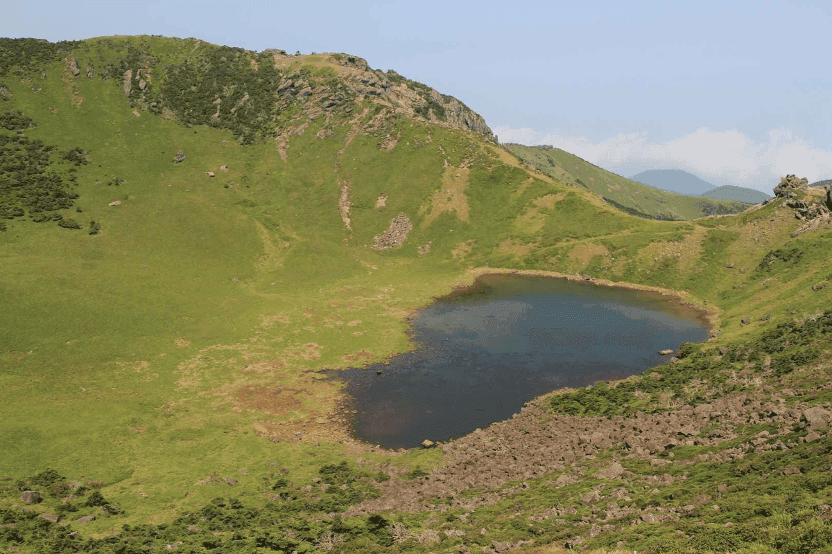 이끼 덕후들 모여라 초록빛의 충격 비주얼 국내 이끼숲 BEST 5