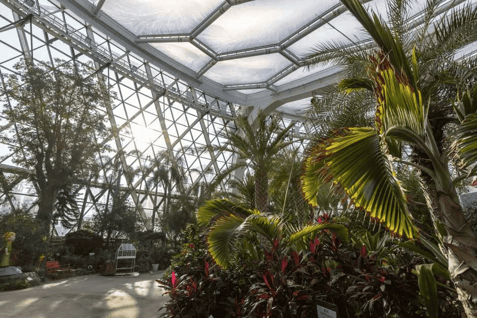 서울 식물원 BEST4, 제대로 즐기는 방법