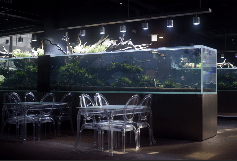 일산 아이와 가볼만한 곳, 대형수족관 카페 아쿠아가든 일산