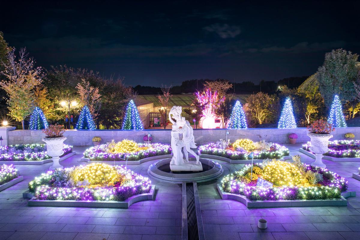낭만적 야경 속으로! 파주 퍼스트가든에서 다양한 체험까지