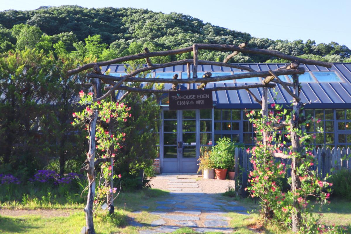 이천 카페 ‘티하우스에덴’, 정원 속에서 즐기는 홍차의 여유