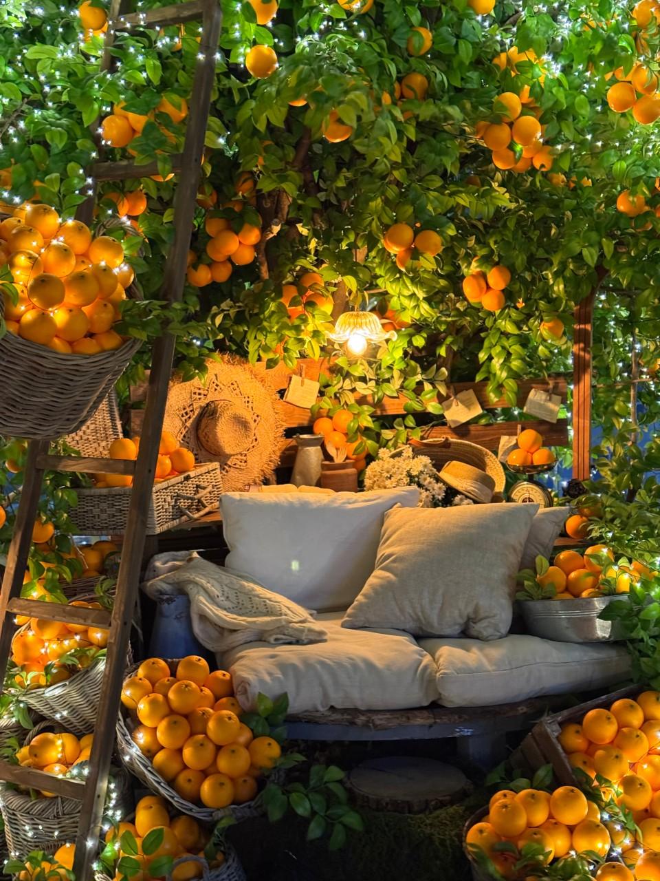 영종도 오션뷰 카페 “바다 앞 테라스”, 루프탑 오렌지 나무 포토존 예쁘잖아!