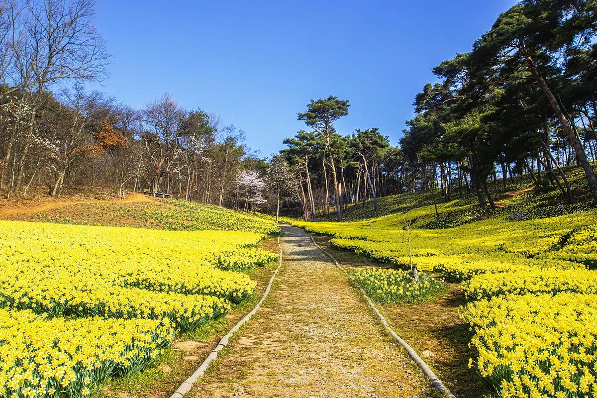 사진으로 만나는 봄의 축제! SNS 핫스폿 베스트 4