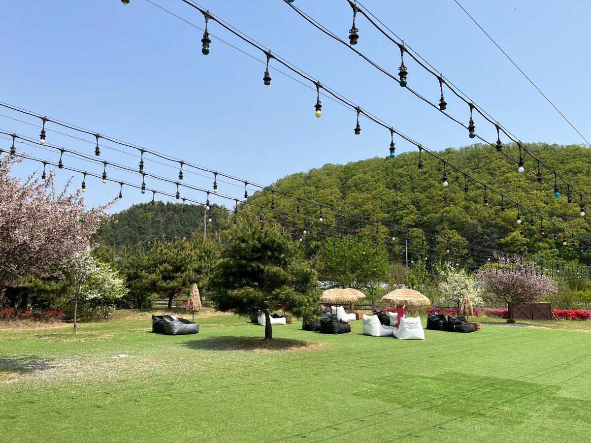 가평 감성 카페 ‘니드썸레스트’, 넓은 정원에서 힐링 타임