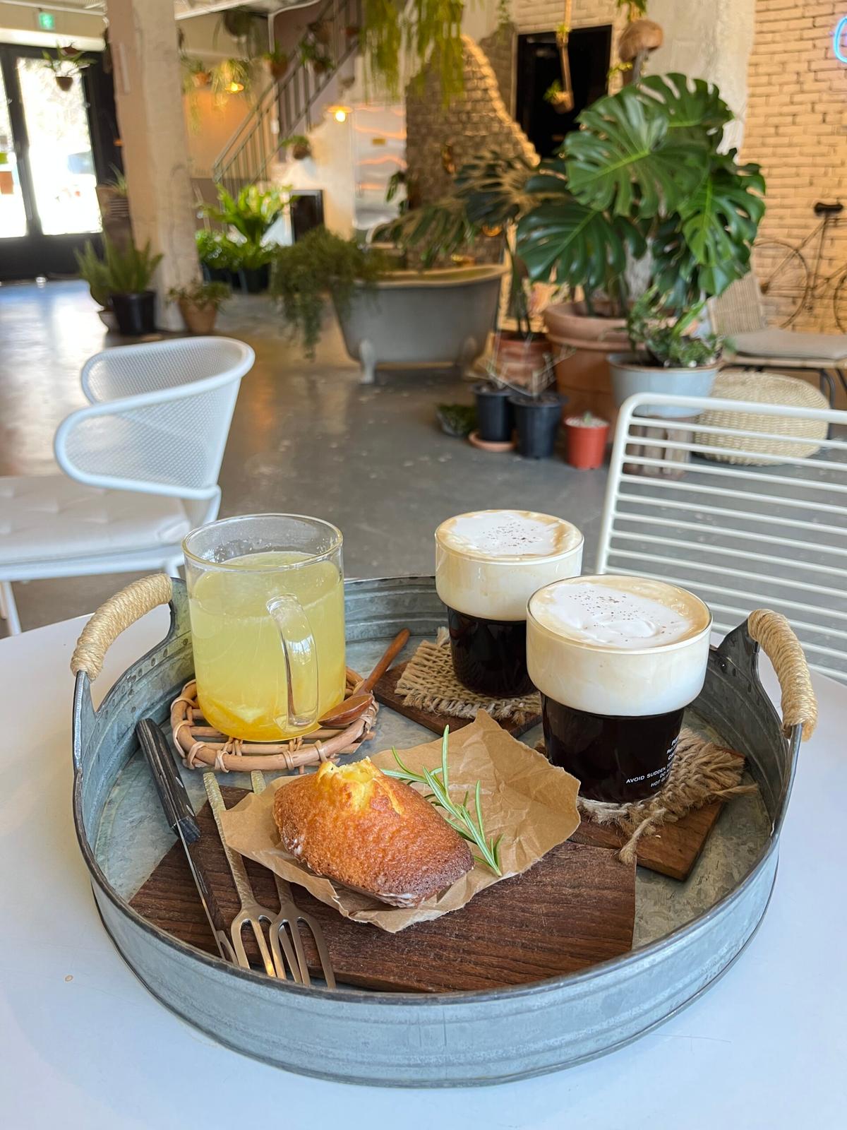 예쁜 정원이 있는 가평 ‘히든플랜트’, 자연 속 식물원 카페