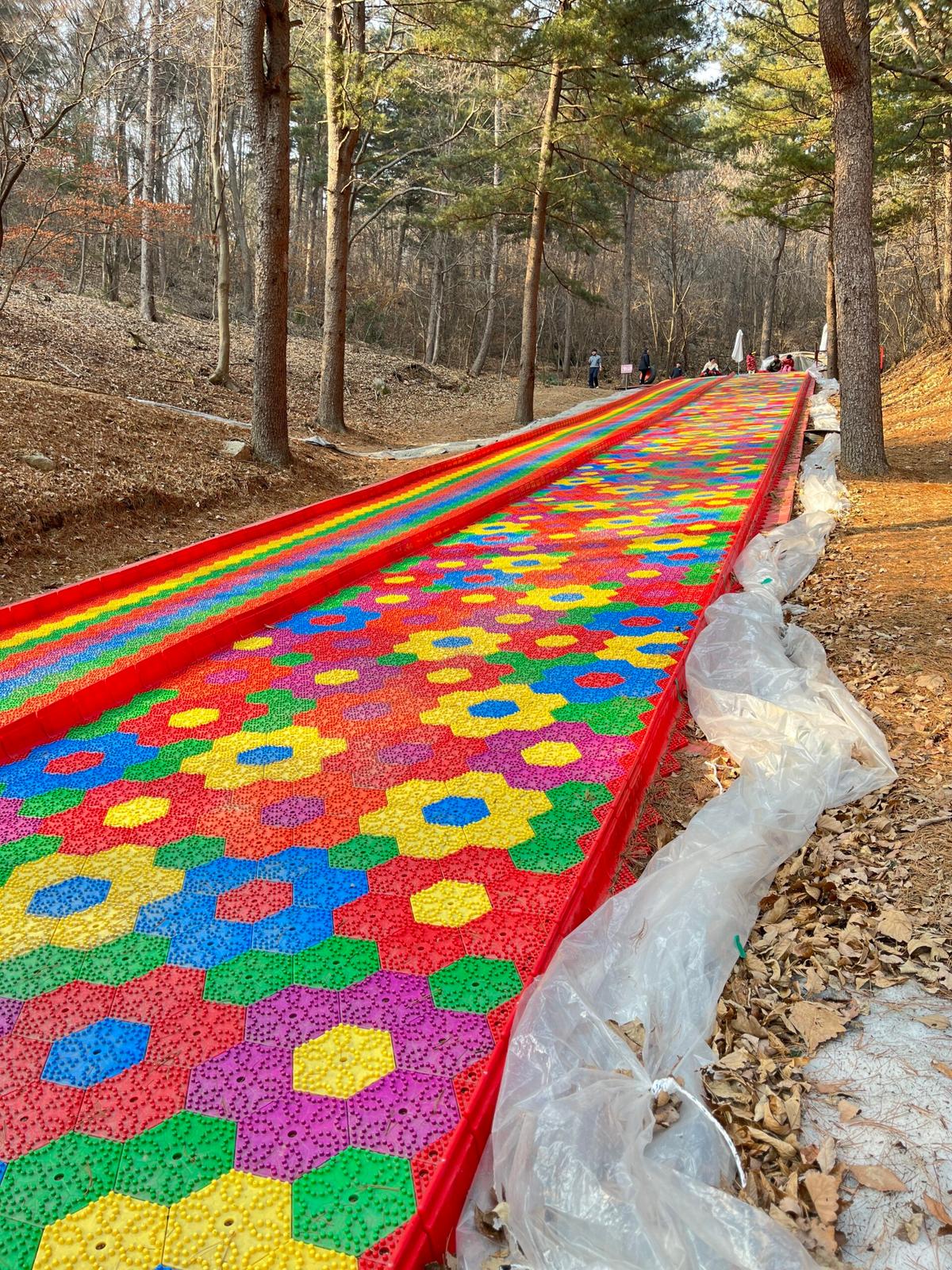 한국 속 작은 스위스, ‘에델바이스 스위스테마파크’에서 플라워 썰매까지!