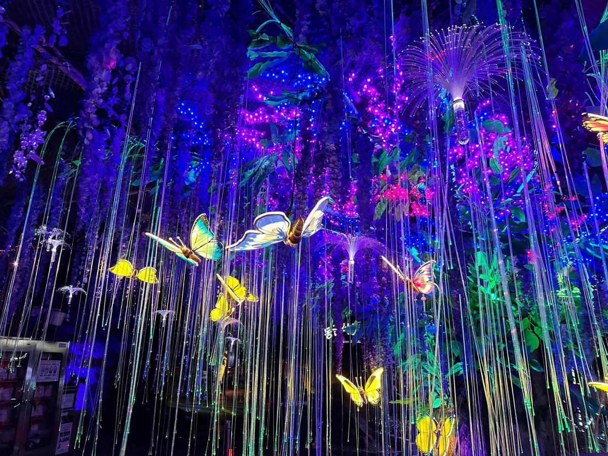 아이와 함께 떠나는 동굴 탐험! 광명동굴에서 만나는 환상적인 빛축제