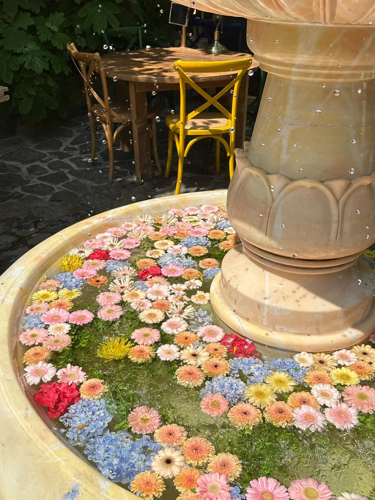 유럽 감성 가득! 카페 달마시안, 꽃 분수와 브런치로 힐링해요