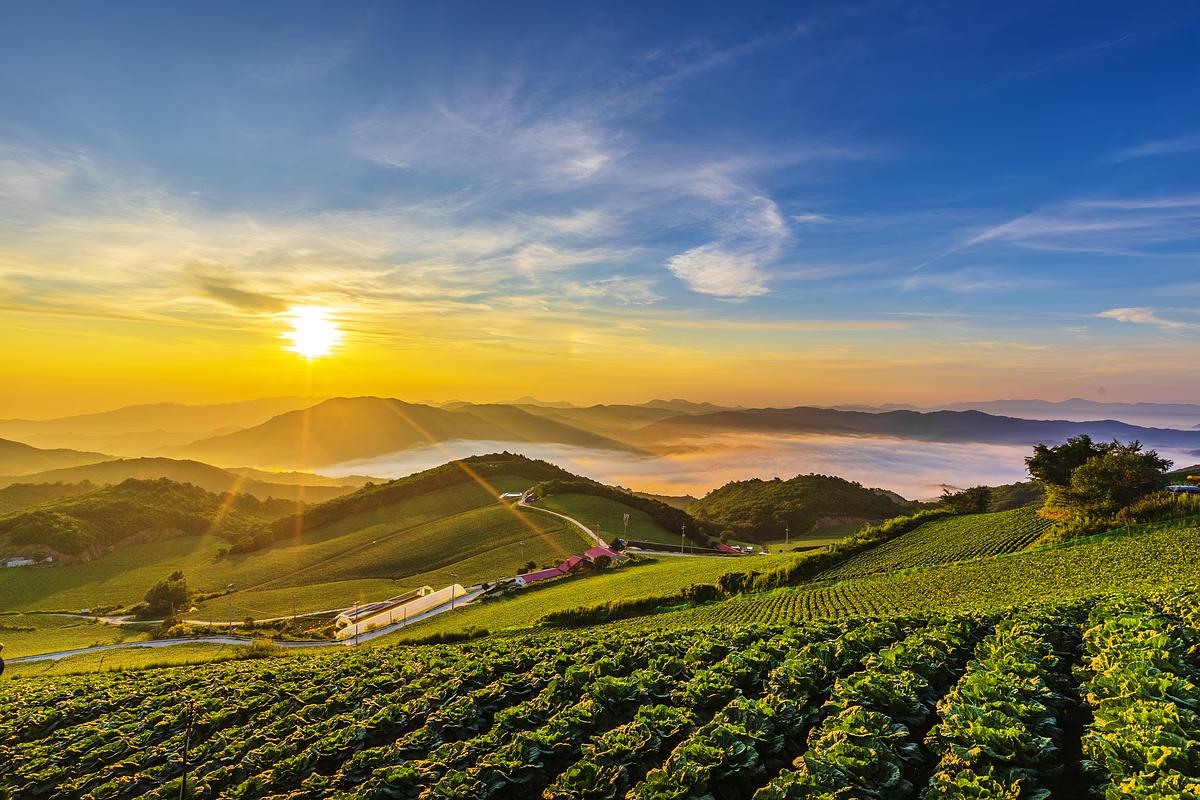 초원과 별이 만나는 곳, 안반데기 힐링여행 가이드
