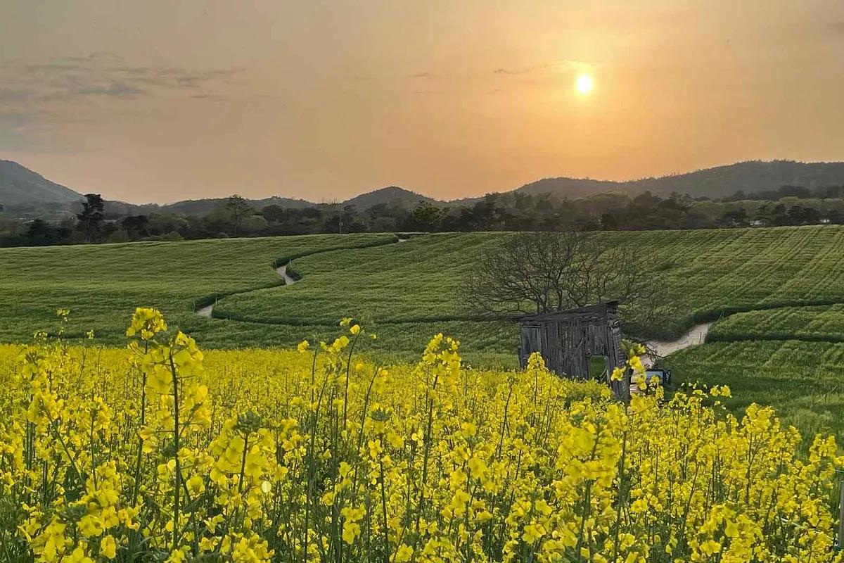 아이유와 박보검의 감성 담은 ‘폭싹 속았수다’ 촬영지, 진짜는 따로 있다?