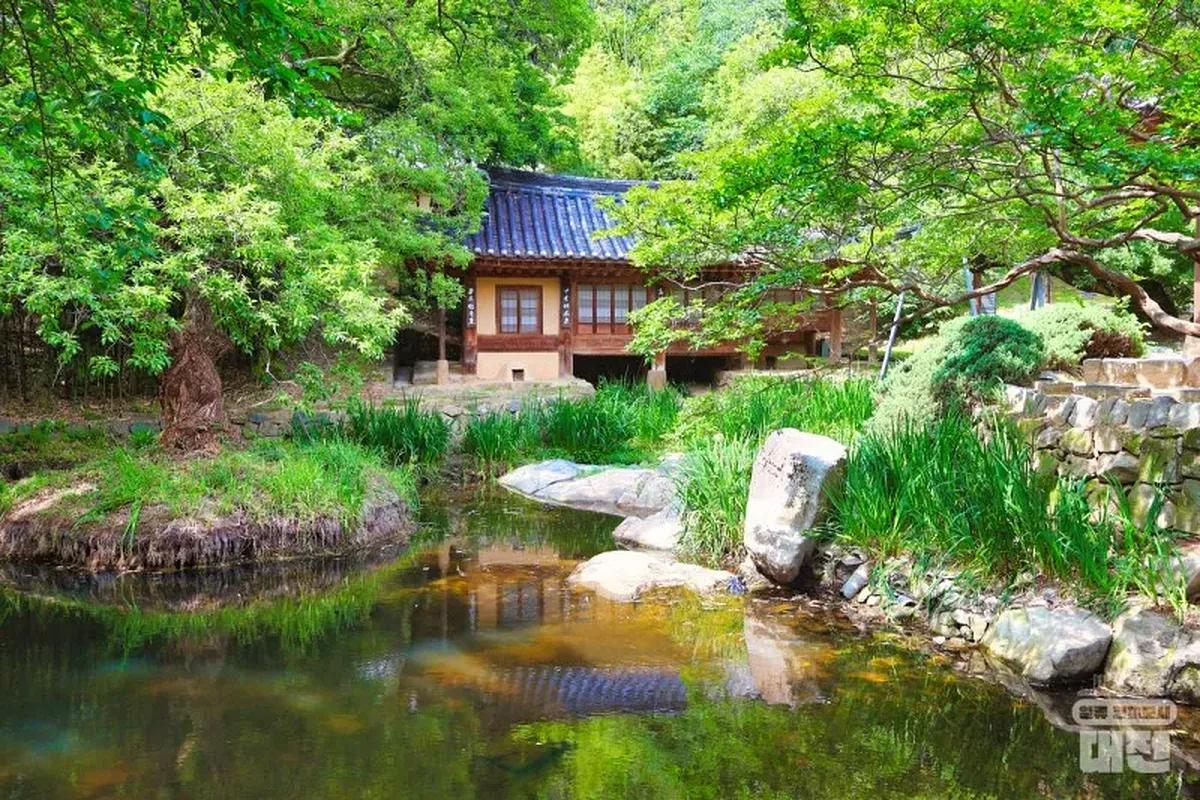 “봄 내음 가득한 대전, 벚꽃 명소 세 곳 완전정복”