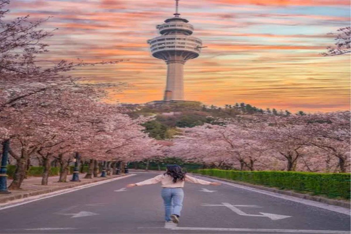 봄바람 따라 만나는 대구의 반전 매력, 이색 핫플 BEST 3