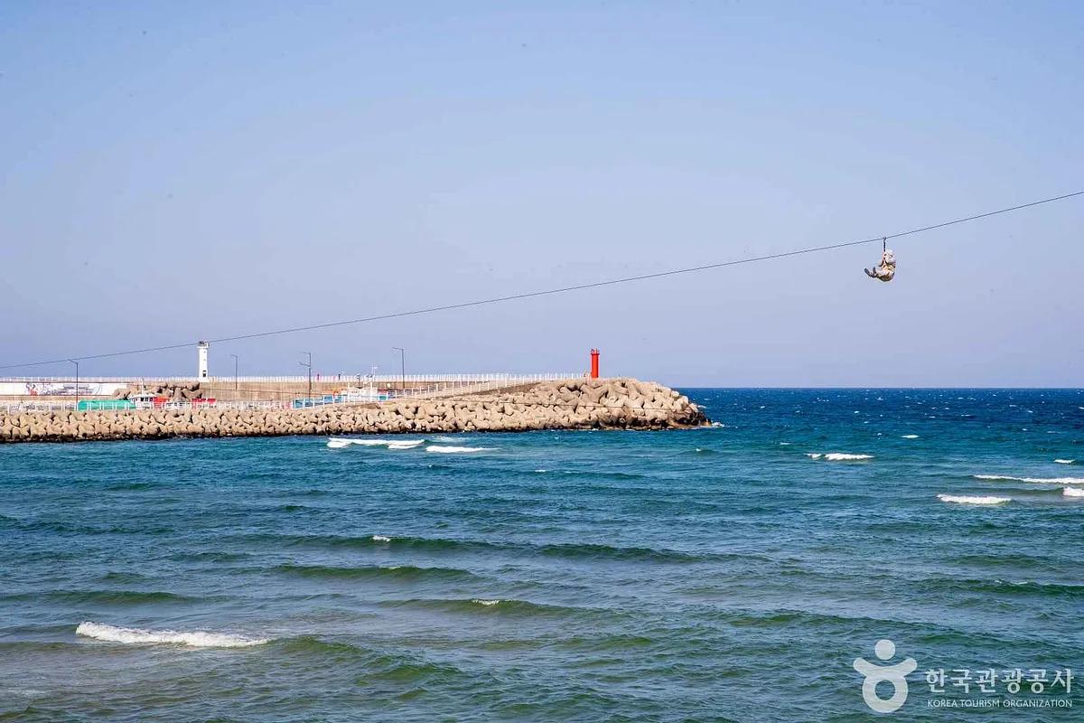 강릉 바다 위를 달리는 짜릿한 하늘자전거