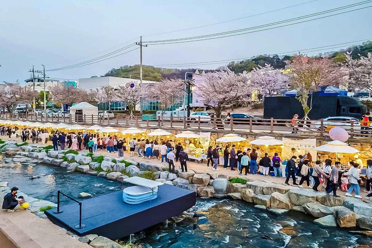 벚꽃 아래서 빛나는 5일간의 축제, 구미로 떠나자!