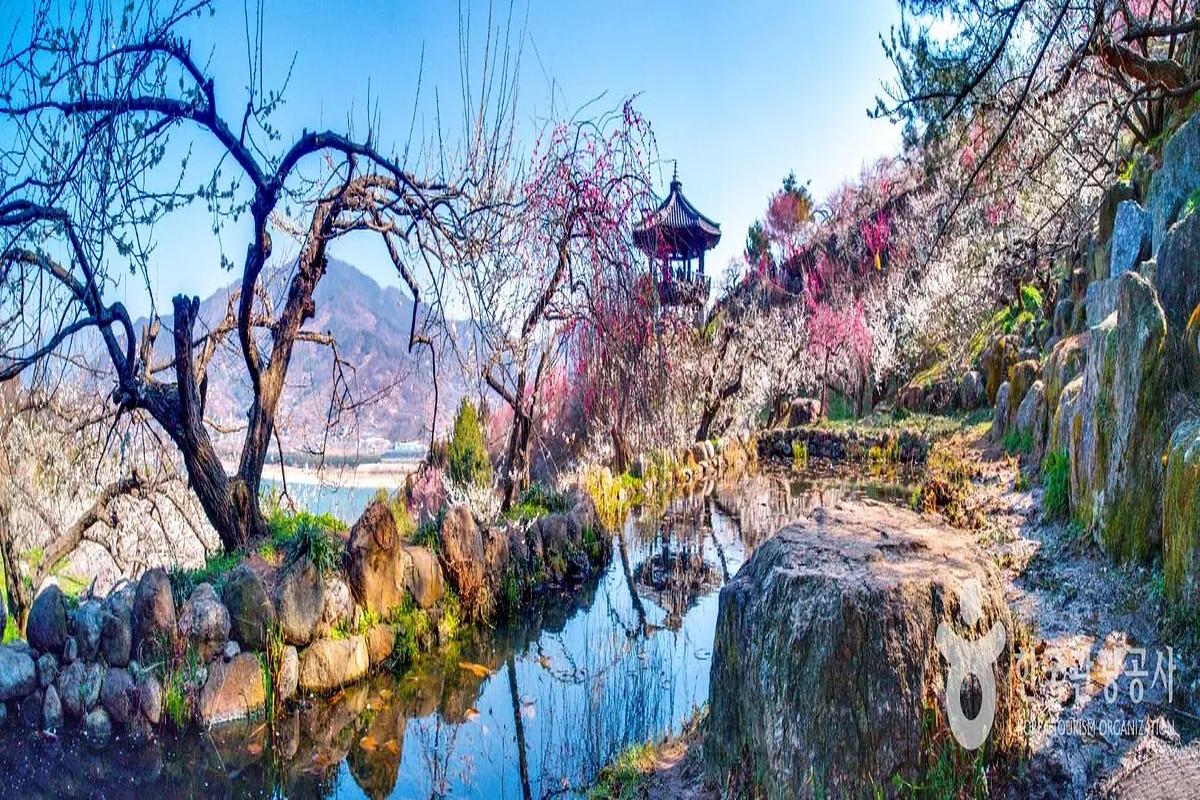 생생정보 택시맛객 광양 정어리쌈밥, 광양 매화축제 장소, 집라인 위치