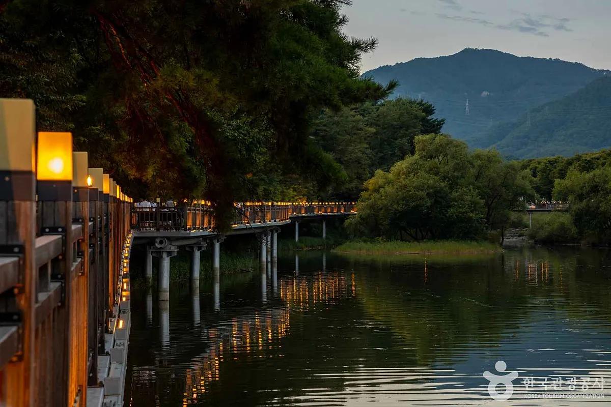 SNS 사진발 제대로! 숲길부터 유럽 감성까지, 꼭 가봐야 할 4대 명소
