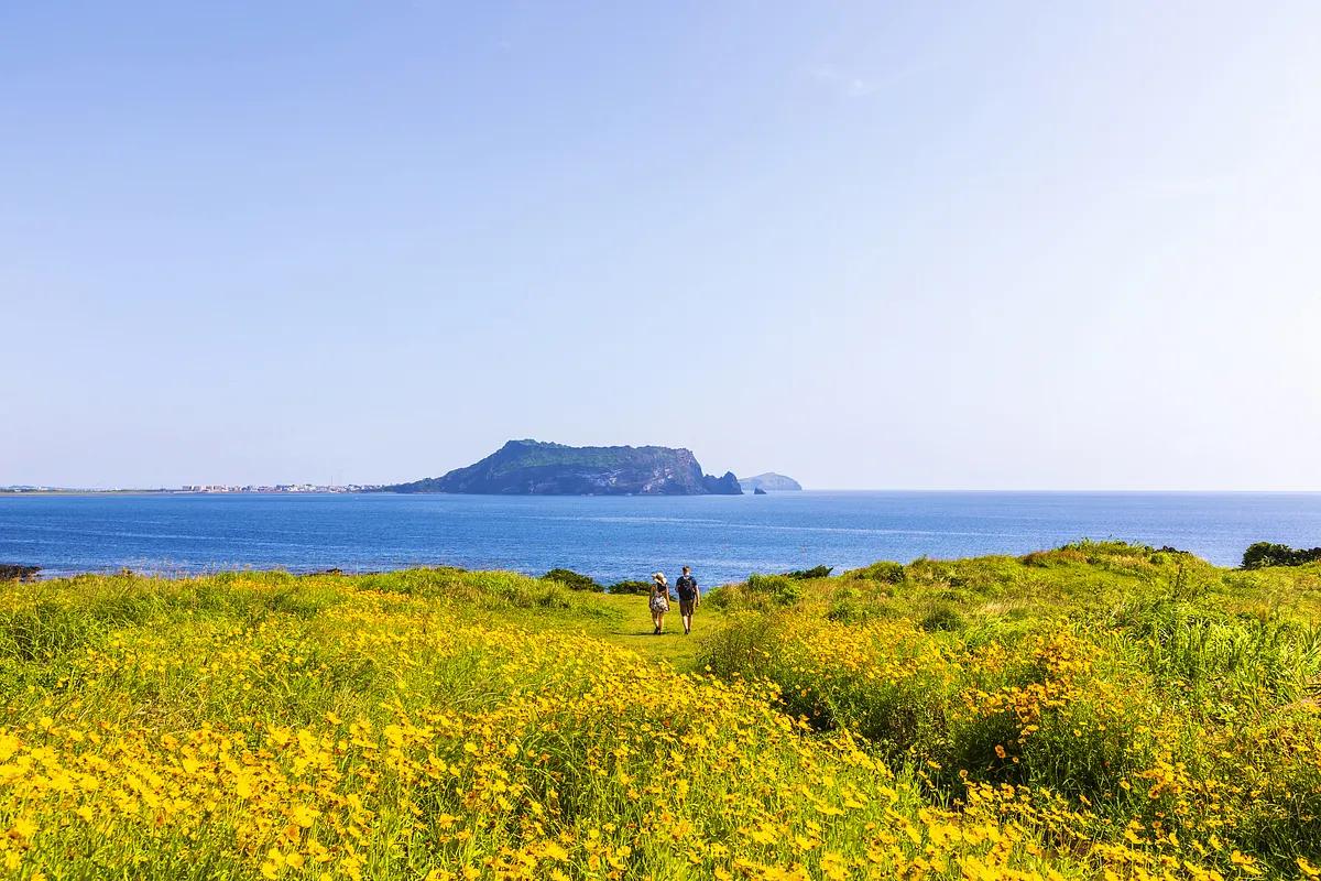 놓치면 아쉬운 제주 동부, 매력 가득 5가지 여행 코스