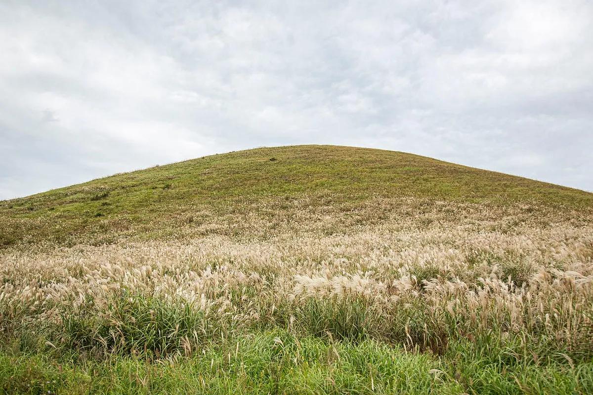 제주의 봄을 품은 새별오름, 전통과 첨단이 어우러진 들불축제