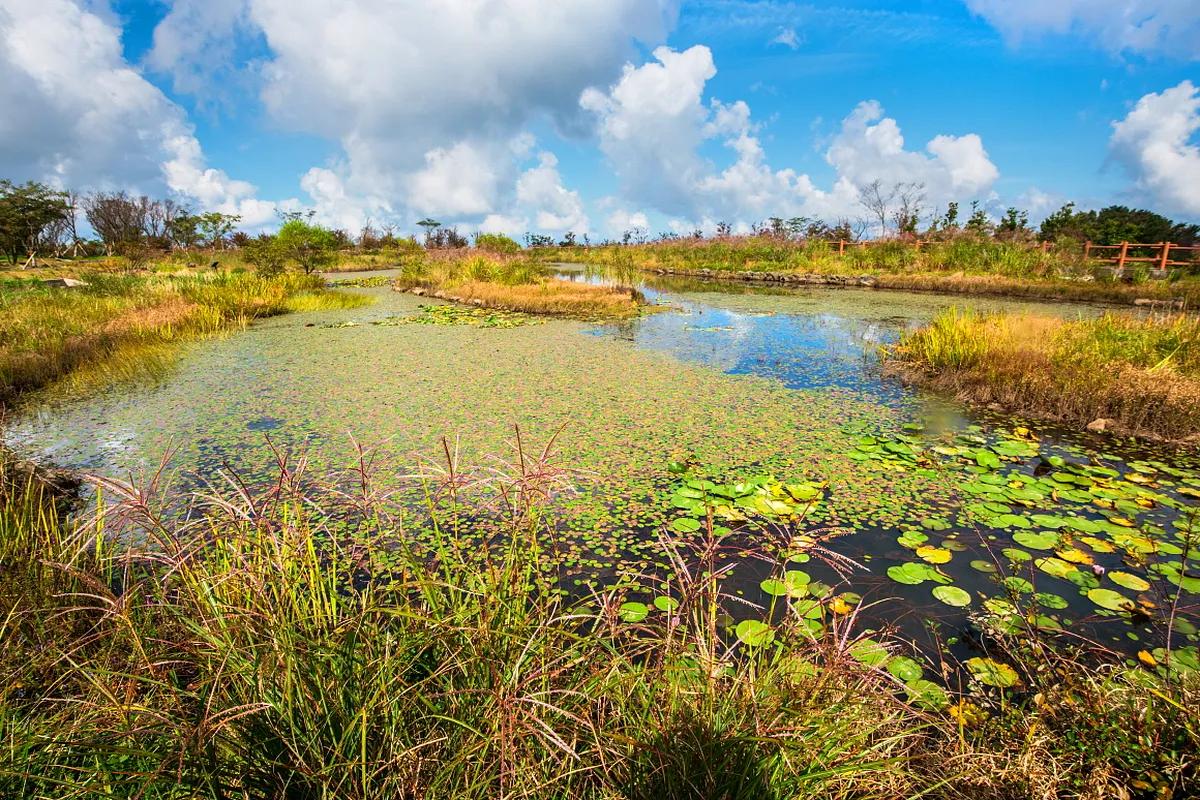 제주도 걷기 좋은 봄 산책길 추천 TOP 3