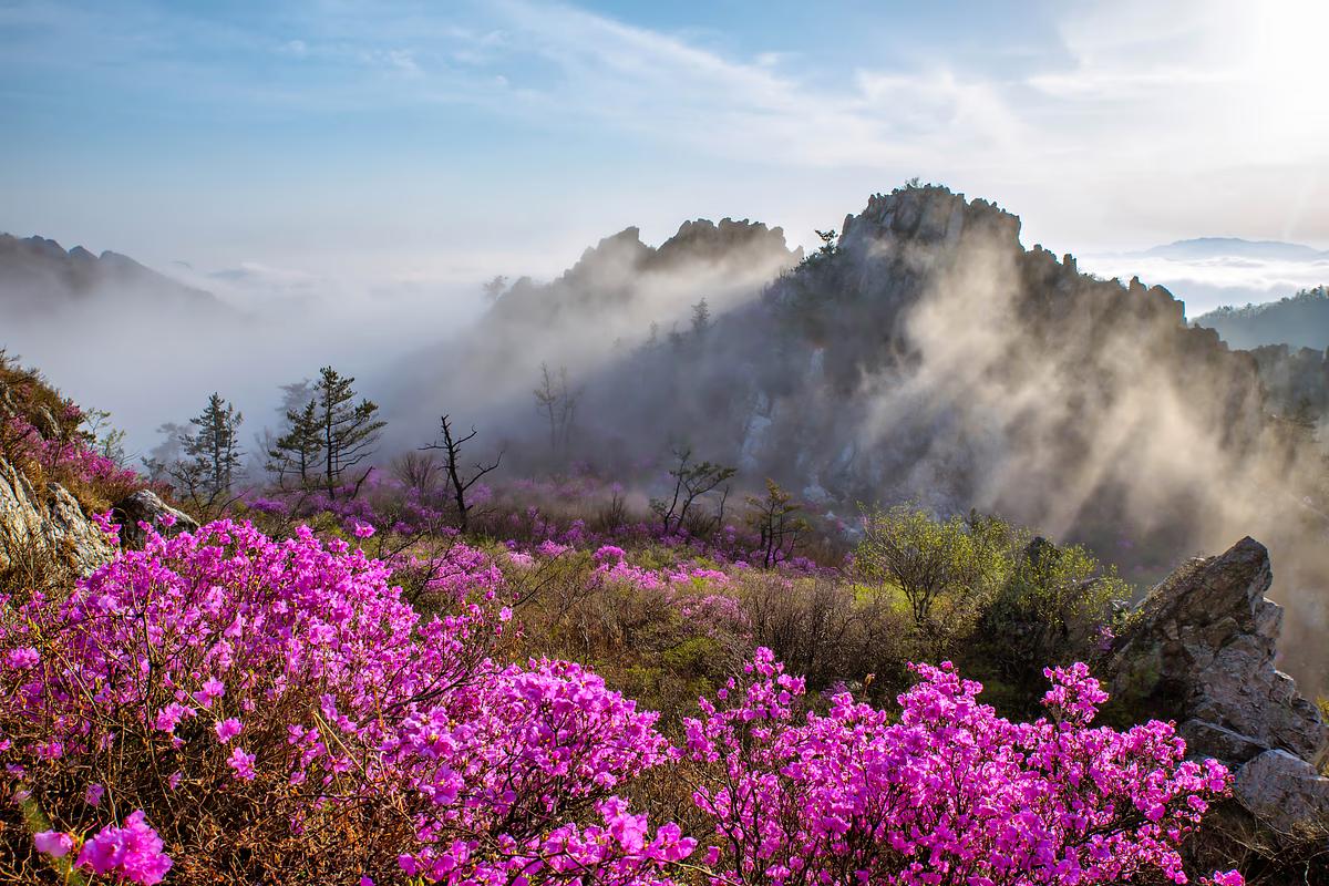 해안 풍경과 함께 즐기는 강진 주작산 진달래 여행
