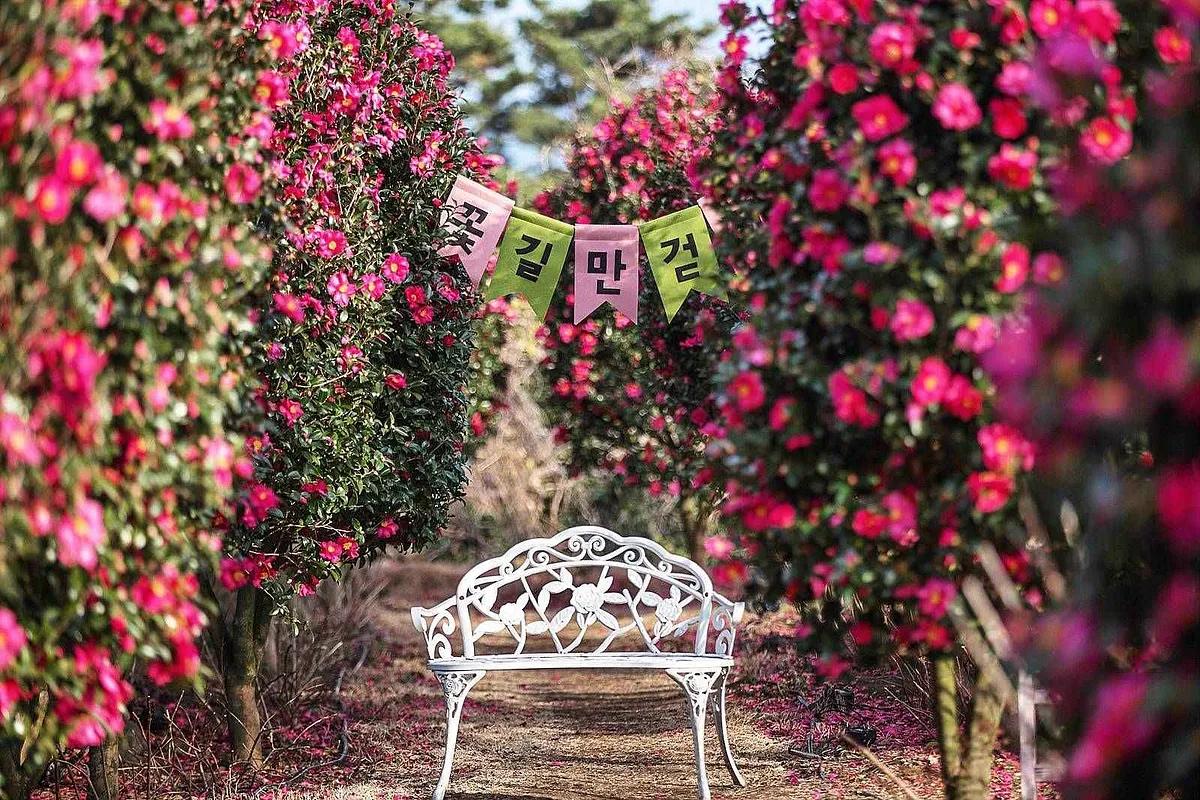 4,000평 꽃바다, 마노르블랑에서 봄날 인생샷 찍는 법