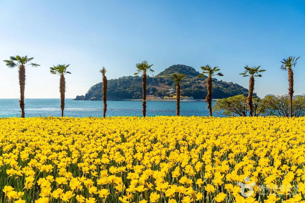 4월에 꼭 가봐야 할 거제, 봄꽃으로 물든 다섯 가지 매력