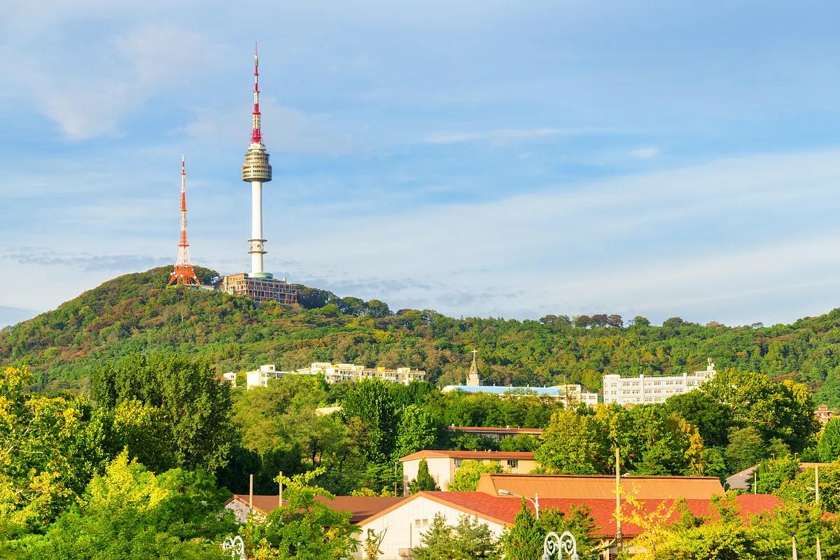 곧 열리는 1.43㎞ 무장애 코스! 남산 하늘숲길이 달라진다